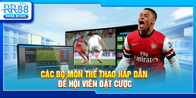 Các bộ môn thể thao hấp dẫn để hội viên đặt cược