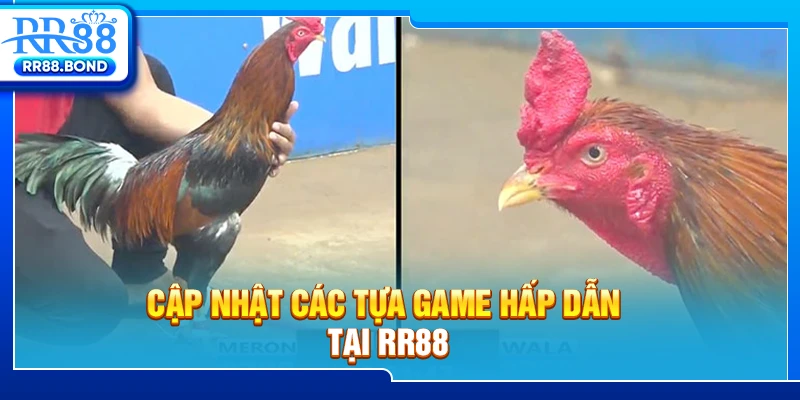 Cập nhật các tựa game hấp dẫn tại RR88